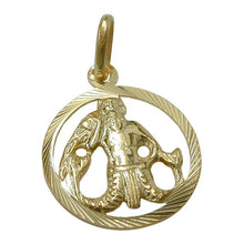 Lade das Bild in den Galerie-Viewer, Anhänger 15mm Sternzeichen Wassermann 9Kt GOLD
