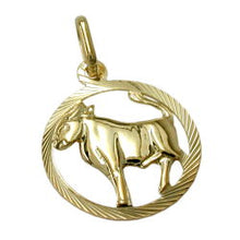 Lade das Bild in den Galerie-Viewer, Anhänger 15mm Sternzeichen Stier 9Kt GOLD
