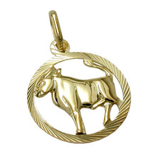 Lade das Bild in den Galerie-Viewer, Anhänger 15mm Sternzeichen Stier 9Kt GOLD
