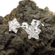 Lade das Bild in den Galerie-Viewer, Ohrstecker Ohrring 6mm Stern Zirkonia weiß Silber 925
