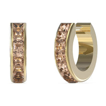 Lade das Bild in den Galerie-Viewer, Guess Damen Ohrstecker JUBE03134JWYGPETU

