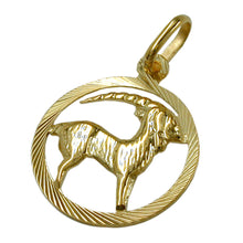Lade das Bild in den Galerie-Viewer, Anhänger 15mm Sternzeichen Steinbock 9Kt GOLD
