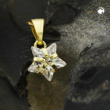 Lade das Bild in den Galerie-Viewer, Anhänger 10x8mm Zirkonia Stern 9Kt GOLD
