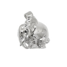 Lade das Bild in den Galerie-Viewer, Anhänger 13x12mm Elefant massiv rhodiniert Silber 925
